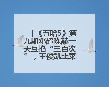 《五哈5》第九期邓超陈赫一天互掐“三百次”，王俊凯韭菜舞超魔性