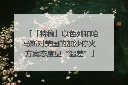 「特稿」以色列和哈马斯对美国的加沙停火方案态度显“温差”