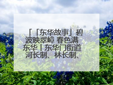 「东华故事」碧波映翠嶂 春色满东华丨东华门街道河长制、林长制、垃圾分类主题宣传如火如荼中