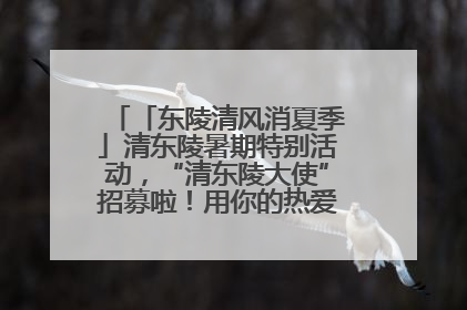 「东陵清风消夏季」清东陵暑期特别活动，“清东陵大使”招募啦！用你的热爱守护世界遗产！