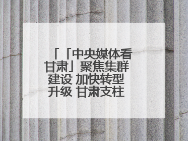 「中央媒体看甘肃」聚焦集群建设 加快转型升级 甘肃支柱产业增势强劲