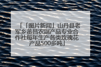 「图片新闻」山丹县老军乡蕃昌农副产品专业合作社每年生产各类玫瑰花产品500多吨