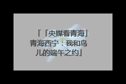 「央媒看青海」青海西宁：我和鸟儿的端午之约