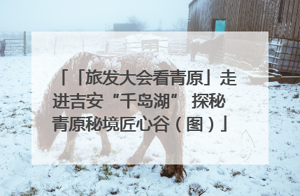 「旅发大会看青原」走进吉安“千岛湖” 探秘青原秘境匠心谷（图）
