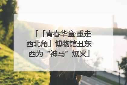 「青春华章·重走西北角」博物馆丑东西为“神马”爆火