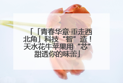 「青春华章·重走西北角」科技“智”造！天水花牛苹果用“芯”甜透你的味蕾