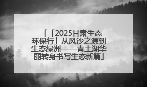 「2025甘肃生态环保行」从风沙之源到生态绿洲——青土湖华丽转身书写生态新篇