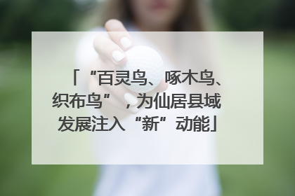 “百灵鸟、啄木鸟、织布鸟”，为仙居县域发展注入“新”动能