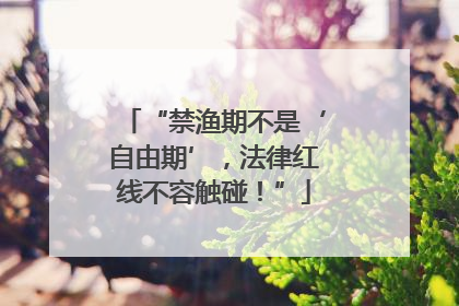 “禁渔期不是‘自由期’，法律红线不容触碰！”