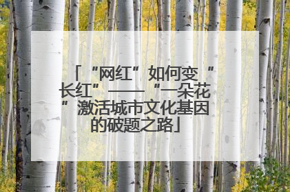 “网红”如何变“长红”——“一朵花”激活城市文化基因的破题之路