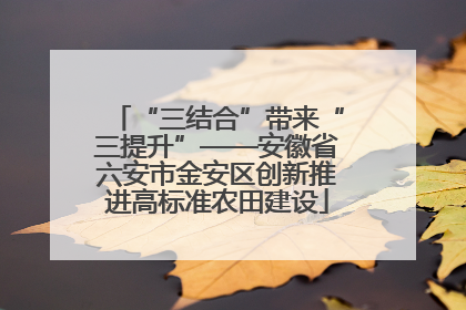 “三结合”带来“三提升”——安徽省六安市金安区创新推进高标准农田建设