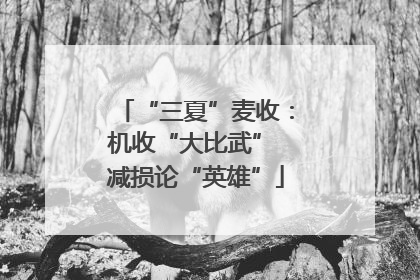 “三夏”麦收：机收“大比武” 减损论“英雄”