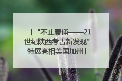 “不止秦俑——21世纪陕西考古新发现”特展亮相美国加州