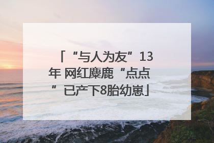 “与人为友”13年 网红麋鹿“点点”已产下8胎幼崽