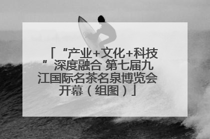 “产业+文化+科技”深度融合 第七届九江国际名茶名泉博览会开幕（组图）