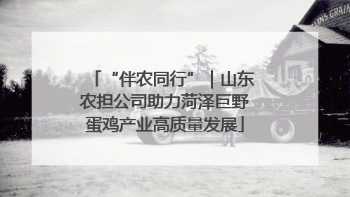 “伴农同行”｜山东农担公司助力菏泽巨野蛋鸡产业高质量发展