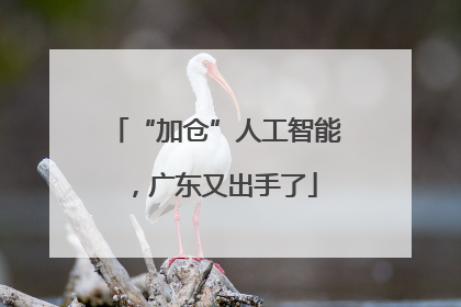 “加仓”人工智能，广东又出手了