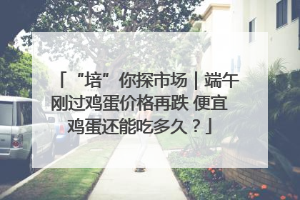 “培”你探市场｜端午刚过鸡蛋价格再跌 便宜鸡蛋还能吃多久？