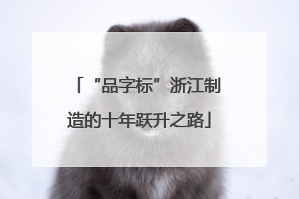 “品字标”浙江制造的十年跃升之路