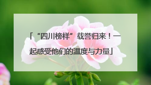“四川榜样”载誉归来！一起感受他们的温度与力量