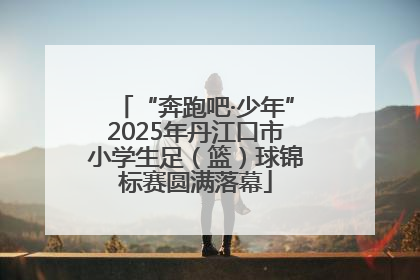 “奔跑吧·少年”2025年丹江口市小学生足（篮）球锦标赛圆满落幕