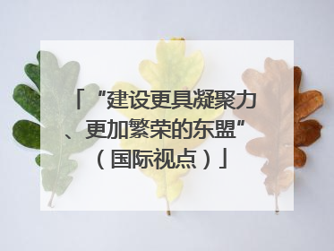 “建设更具凝聚力、更加繁荣的东盟”（国际视点）