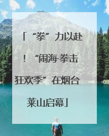 “拳”力以赴！“闹海·拳击狂欢季”在烟台莱山启幕