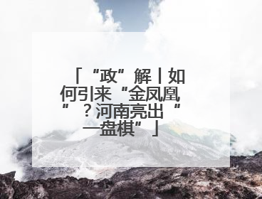 “政”解丨如何引来“金凤凰”？河南亮出“一盘棋”