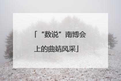 “数说”南博会上的曲靖风采
