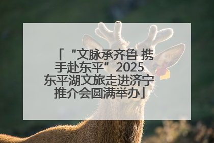 “文脉承齐鲁 携手赴东平”2025东平湖文旅走进济宁推介会圆满举办