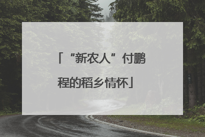 “新农人”付鹏程的稻乡情怀