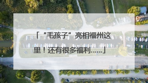 “毛孩子”亮相福州这里！还有很多福利……