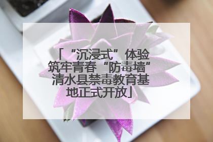 “沉浸式”体验 筑牢青春“防毒墙” 清水县禁毒教育基地正式开放