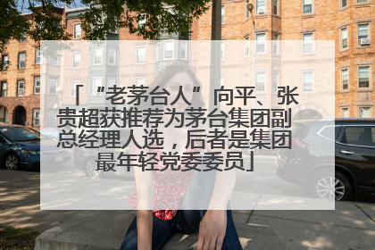 “老茅台人”向平、张贵超获推荐为茅台集团副总经理人选，后者是集团最年轻党委委员