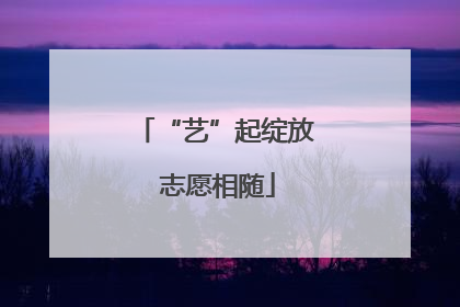 “艺”起绽放 志愿相随
