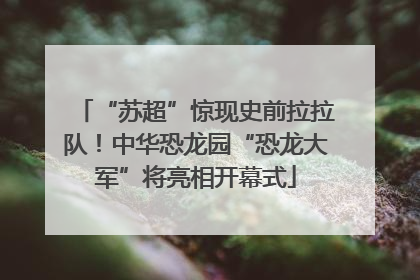 “苏超”惊现史前拉拉队！中华恐龙园“恐龙大军”将亮相开幕式