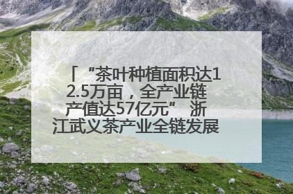 “茶叶种植面积达12.5万亩，全产业链产值达57亿元” 浙江武义茶产业全链发展“加速度”
