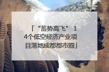 “蓄势高飞” 14个低空经济产业项目落地成都都市圈