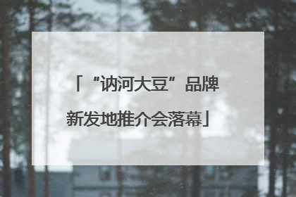 “讷河大豆”品牌新发地推介会落幕