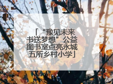 “豫见未来 书送梦想”公益图书室点亮永城五所乡村小学