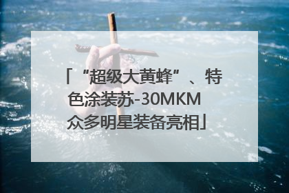 “超级大黄蜂”、特色涂装苏-30MKM 众多明星装备亮相
