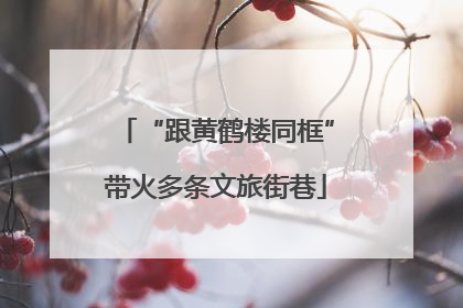 “跟黄鹤楼同框”带火多条文旅街巷