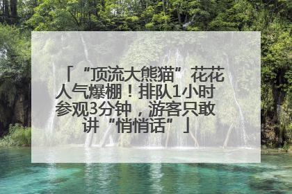“顶流大熊猫”花花人气爆棚！排队1小时参观3分钟，游客只敢讲“悄悄话”