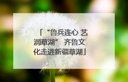 “鲁兵连心 艺润草湖” 齐鲁文化走进新疆草湖