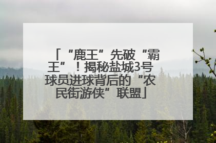 “鹿王”先破“霸王”！揭秘盐城3号球员进球背后的“农民街游侠”联盟