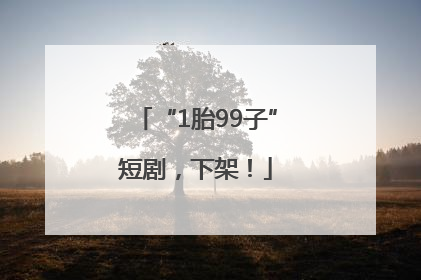 “1胎99子”短剧，下架！