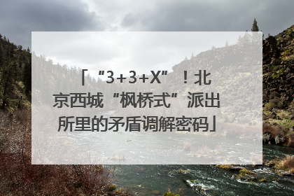 “3+3+X”！北京西城“枫桥式”派出所里的矛盾调解密码