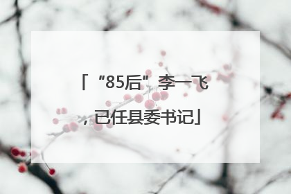 “85后”李一飞，已任县委书记