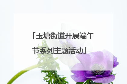 玉塘街道开展端午节系列主题活动