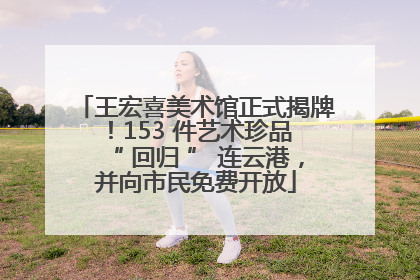 王宏喜美术馆正式揭牌！153 件艺术珍品 “ 回归 ” 连云港，并向市民免费开放
